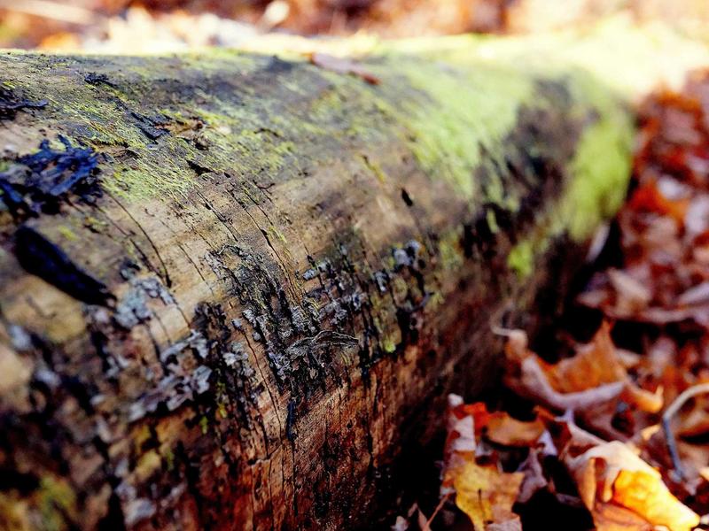 sudoku grid completion screenshot 2